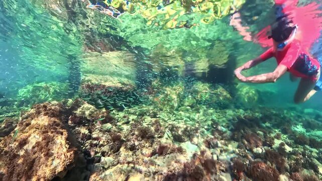 female swimmer exploring a vibrant coral reef in the crystal-clear tropical waters of Pointe du Bout, Martinique in caribbean of France. Surrounded by a swirling school of small fish under the surface