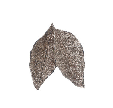 Bright, shiny decorative leaves isolated on a white background.