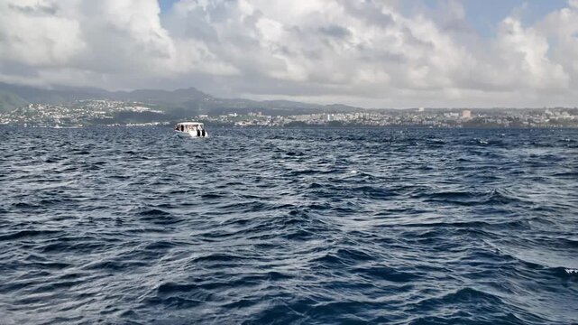 Dolphin swimming through the deep blue ocean with ripples of waves, showing its dorsal fin and part of its body above the water, with a distant tropical coastline off Martinique in Caribbean Sea