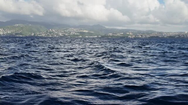 Wild dolphin, with a white splash of water from surfacing, gracefully swimming in the deep blue ocean of Martinique, French Antilles, representing marine wildlife, freedom and tropical vacation travel