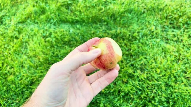 First-person view of hands peeling skin off a fresh ripe apple using a small paring knife, outdoors on a green grass background. Healthy snack concept.