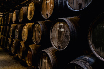 Naklejka premium Interior of traditional wine cellar in Porto Portugal with rows of wooden barrels used for aging port wine. Atmospheric underground storage with perspective view and warm low lighting.