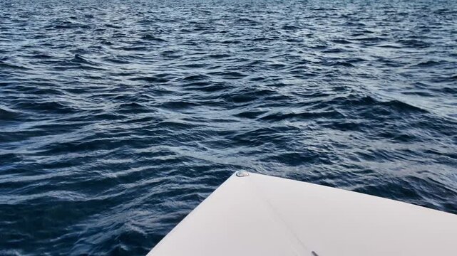 Dolphin swimming close to a tour boat in the deep blue Caribbean Sea, offering a glimpse of marine wildlife during a holiday expedition near the coast of Martinique