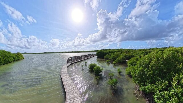 Etang des Salines is a protected area near Plage des Salines on Martinique's south coast, Sainte-Anne of France. aerial view