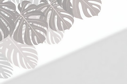 Tropical monstera leaf pattern with soft diagonal shadow over a minimal neutral background