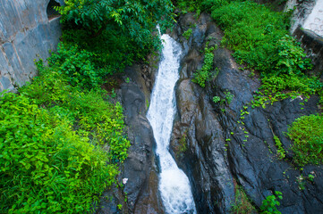 Beautiful waterfall in forest. © CRSHELARE