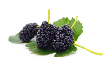 Fresh black mulberries with green leaves isolated on white background. © ANASTASIIA