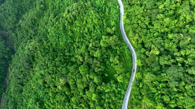 Natural forest corridor with modern transportation access, representing Climate Strategy, Net Zero Transition, Carbon Credit Market, Renewable Energy support, Sustainable Mobility, ESG governance, and