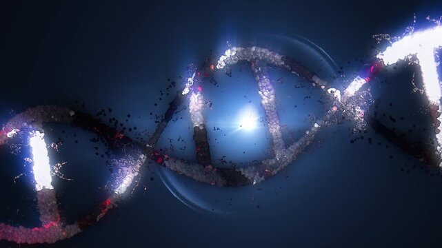 The DNA chain rotates in a helix.This video make a perfect concept for human DNA, microbiology, RNA protein, pharmaceutical health, genetics, stem cell research, healthcare, or the human genome.

