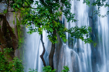 Beautiful waterfall in forest. © CRSHELARE
