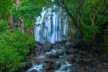 Beautiful waterfall in forest. © CRSHELARE