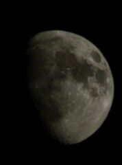moon © Feather&Fern