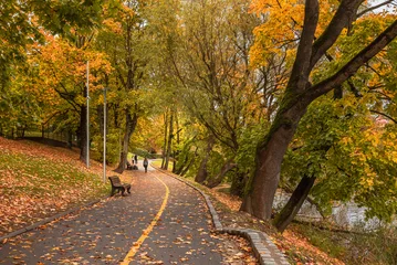 Autumn Walkway by Lower Pond with Golden Foliage and Fallen Leaves in Kaliningrad. Russia © Elena Odareeva