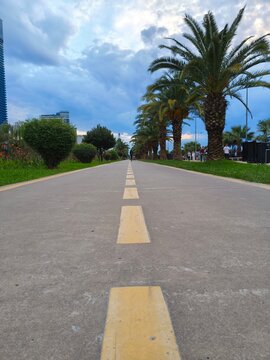 A bicycle path in the park.
