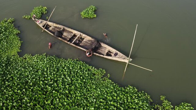 Aerial view of a wooden boat with traditional sand miners working amidst dense water hyacinth plants in the Kalirajut river in Patikraja, Central Java, Indonesia.