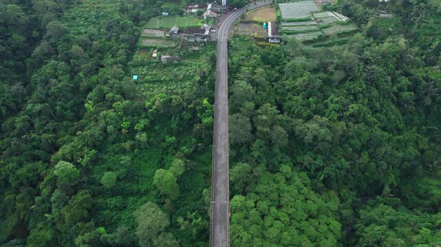 Aerial view of Jembatan Tukad Bangkung bridge spanning over lush green tropical forest in Kecamatan Petang, Bali, Indonesia.