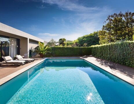 luxury modern backyard with a swimming pool