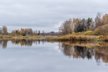 Fototapeta premium Swedish river and salmon area in autumn. Farnebofjarden national park in north of Sweden