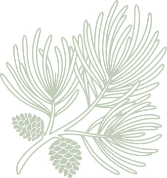 Minimalist botanical line art vector illustration featuring a Japanese pine tree branch, perfectly suited for branding or elegant nature designs
