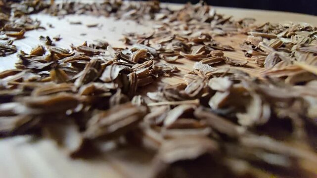 Extreme close-up perspective of dry carrot seeds scattered over a wooden surface, focused for agricultural themes.   