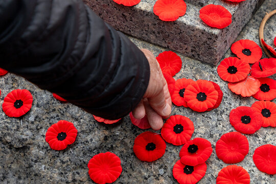 Person placing poppy pin at war memorial during Remembrance Day ceremony in Canada