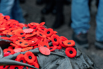 Naklejka premium Remembrance Day red poppy flowers on Tomb of the Unknown Soldier in Ottawa, Canada.