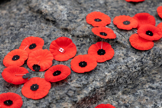 Remembrance Day red poppy flowers ceremony in Ottawa, Canada.