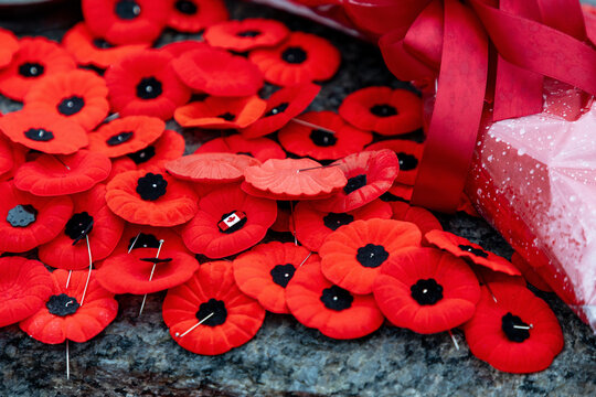 Remembrance Day red poppies at Tomb of the Unknown Soldier in Ottawa, Canada.