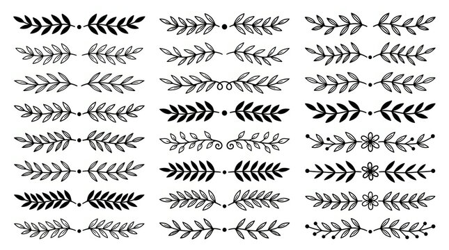 Hand drawn black leaf dividers and laurels on white background