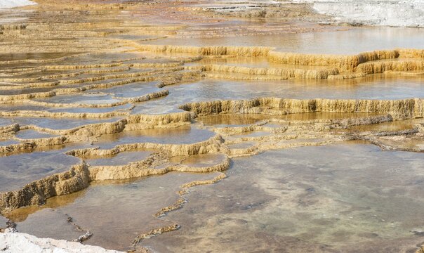 Sinter terraces, hot springs, orange mineral deposits, Palette Springs, Upper Terraces, Mammoth Hot Springs, Yellowstone National Park, Wyoming, USA