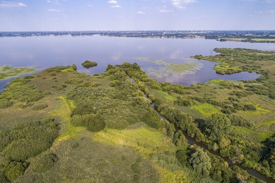 Aerial view of Lake D&uuml;mmer, nature reserve, reeds, shore, influence of the Hunte, river, Ochsenmoor, H&uuml;de, Lower Saxony, Germany