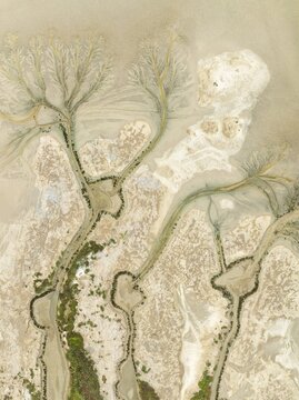 Abstract patterns at low tide in the marshland of the Nature Reserve La Bre&ntilde;a y Marismas del Barbate. Aerial view. Drone shot. C&aacute;diz province, Andalusia, Spain