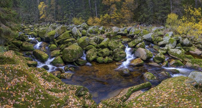 Autumn at the Vydra with huge boulders in the riverbed, Sumava National Park, &Scaron;umava, Czech Republic