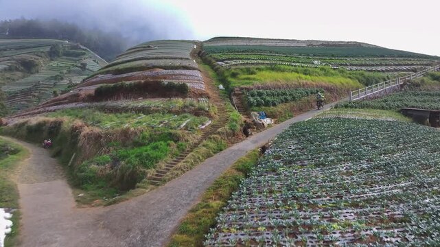 Aerial view of Basecamp Mangli Sumbing with terraced vegetable farms and a motorcycle on a rural road in Kecamatan Kaliangkrik, Jawa Tengah, Indonesia.