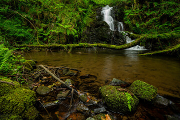 Cascada sinuosa  © WILDNATURE JOSEBA
