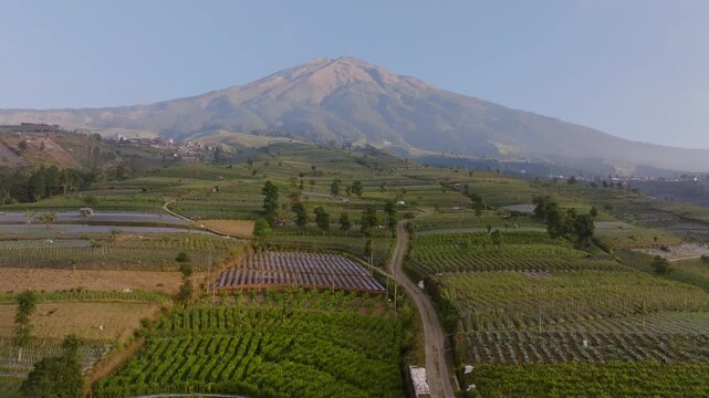 Aerial view of Basecamp Mangli Sumbing surrounded by lush terraced agricultural fields and the majestic Mount Sumbing in Kecamatan Kaliangkrik, Jawa Tengah, Indonesia.