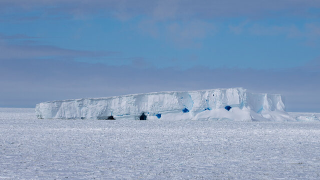 Sea ice and iceberg, Crystal Sound, Antarctica,
