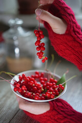 A hand in a red sweater picks a red berry from a white bowl full of fresh redcurrants on a windowsill. Food, harvest, fresh, healthy, home © Natalia