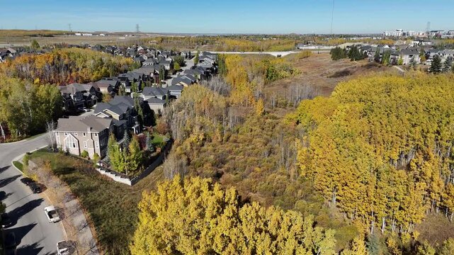 Calgary's beautiful suburban communities from the air.