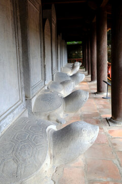 Temple of literature. Long row of stone tortoises supporting engraved doctoral stelae. Hanoi. Vietnam.