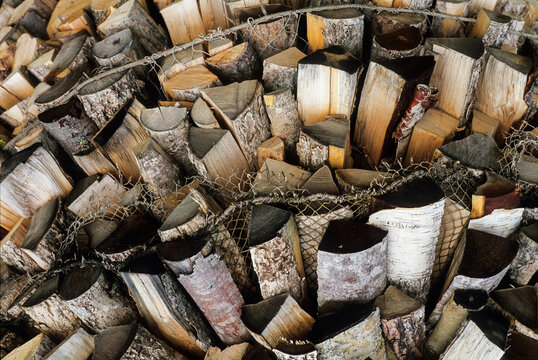 Wood logs, Saare County, Estonia