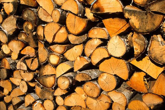 Wood logs, Saare County, Estonia
