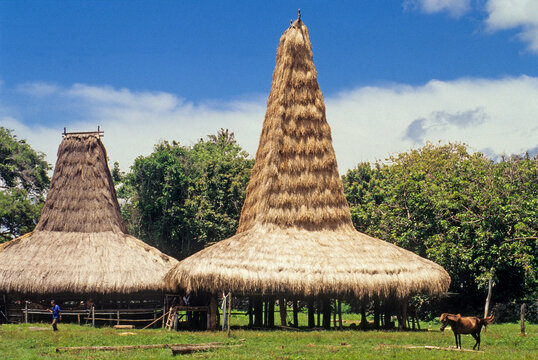 Traditional Sumbaneese houses, Sumba Island, Indonesia
