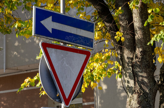 Traffic sign shows direction with a yield sign below in an urban area surrounded by trees with yellow leaves