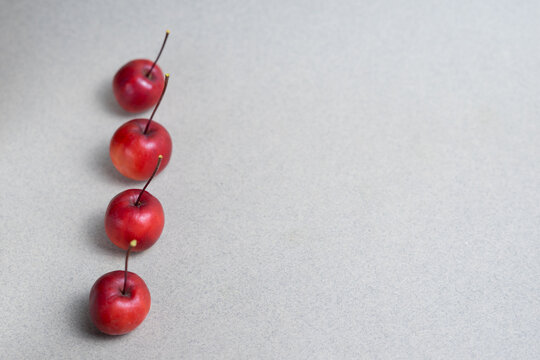 Row of Red Crabapples with Selective Focus and Copy Space
