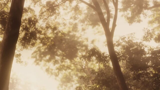 Soft rays of sunlight illuminate the leaves in a tranquil forest. Gentle breezes rustle through the trees, creating a peaceful atmosphere surrounded by natures beauty.