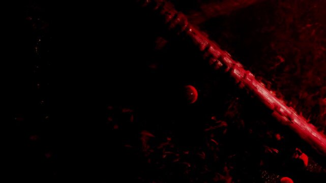 A mysterious red light bathes the scene, casting shadows over scattered objects on the ground. The atmosphere feels eerie and enchanting, hinting at untold stories.