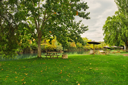 Picnic tables and thatched parasols beneath leafy trees beside the Tagus River in Zorita de los Canes, Guadalajara, Castilla-La Mancha, Spain. Fallen leaves on the lawn.