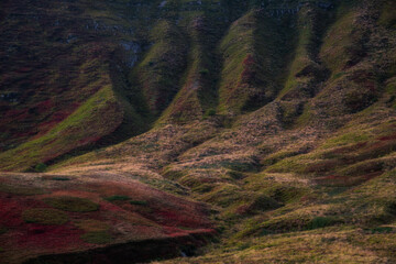 Obraz premium Undulating alpine ridges covered with crimson bilberry heath and dry golden pastures in the Tuscan-Emilian Apennine National Park, Italy. Natural erosion gullies showcase typical regional geomorpholog