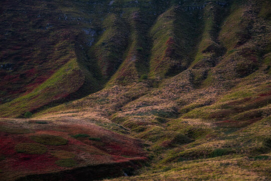 Undulating alpine ridges covered with crimson bilberry heath and dry golden pastures in the Tuscan-Emilian Apennine National Park, Italy. Natural erosion gullies showcase typical regional geomorpholog